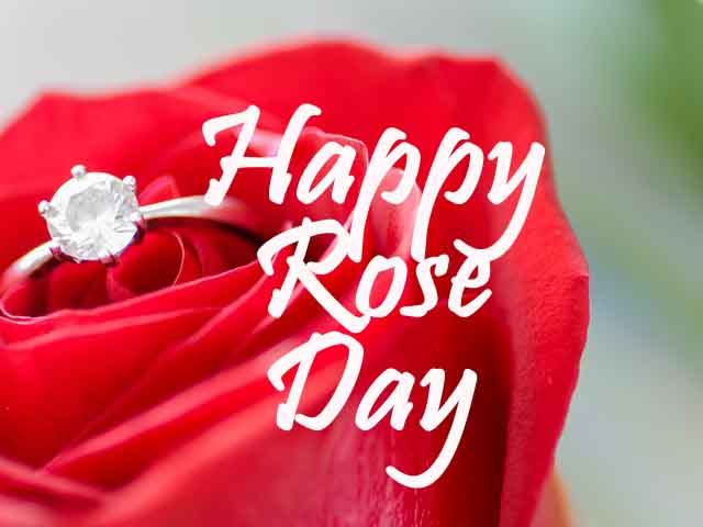 Happy Rose Day 2022 Images, Wallpapers, Pics & Photos