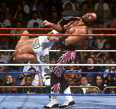 Bret Hart vs Shawn Michaels