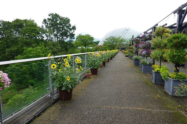 鳥取県西伯郡南部町鶴田 とっとり花回廊 プロムナード橋