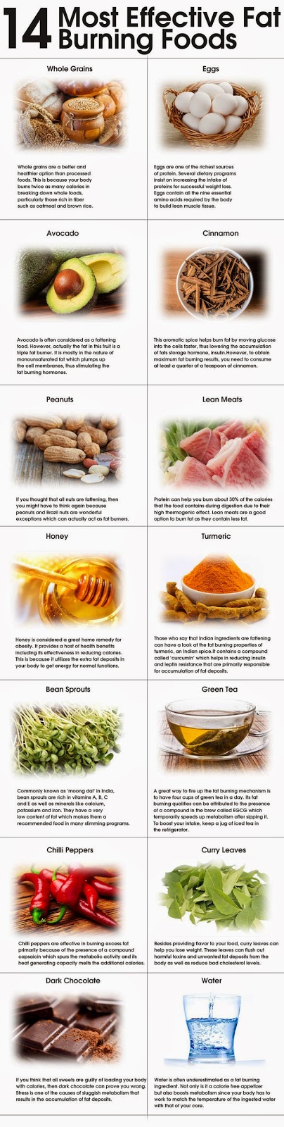 Health conscious individuals: These foods are critically important to keep in your diet routine. 