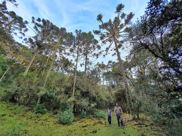 Cachoeirão dos Rodrigues