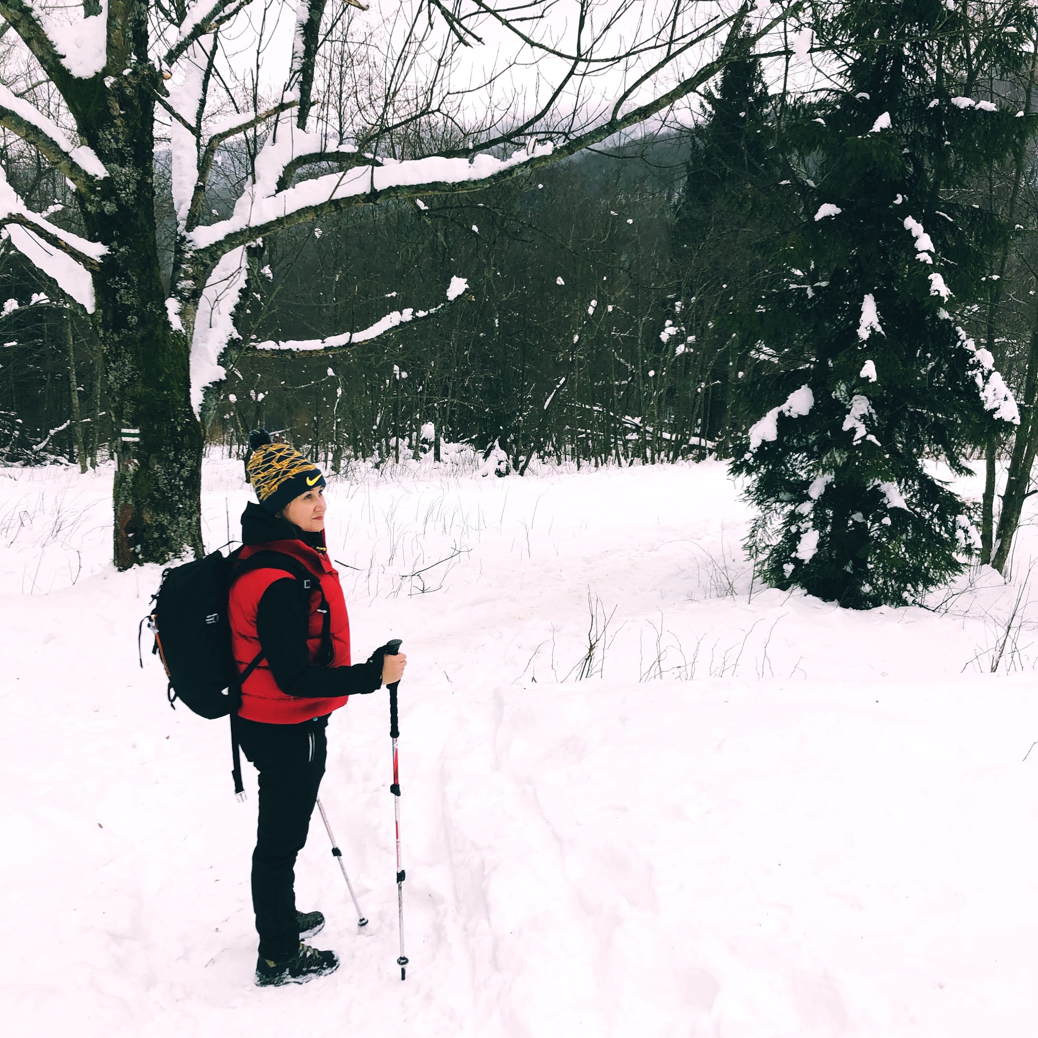 Ścieżki spacerowe w Bieszczadach (zima)