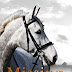 Obtenir le résultat Missing on the Moor (The Riverdale Pony Stories Book 6) (English Edition) Livre audio