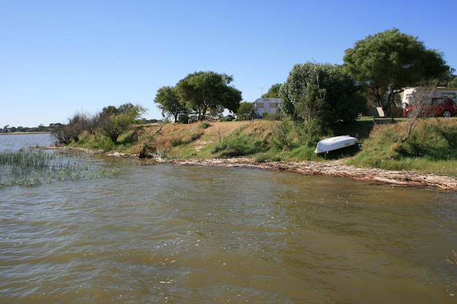 Sailboats and canoe hire on the Murray Lakes – an hour from Adelaide 