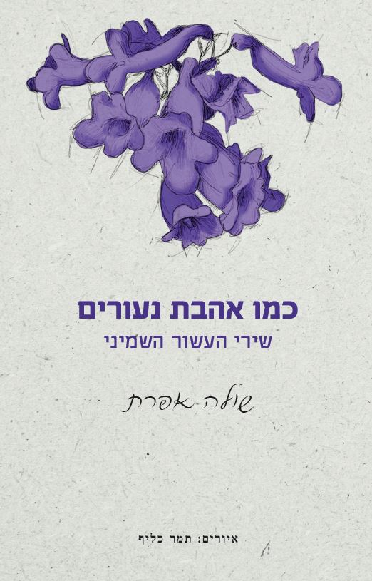 תמונה