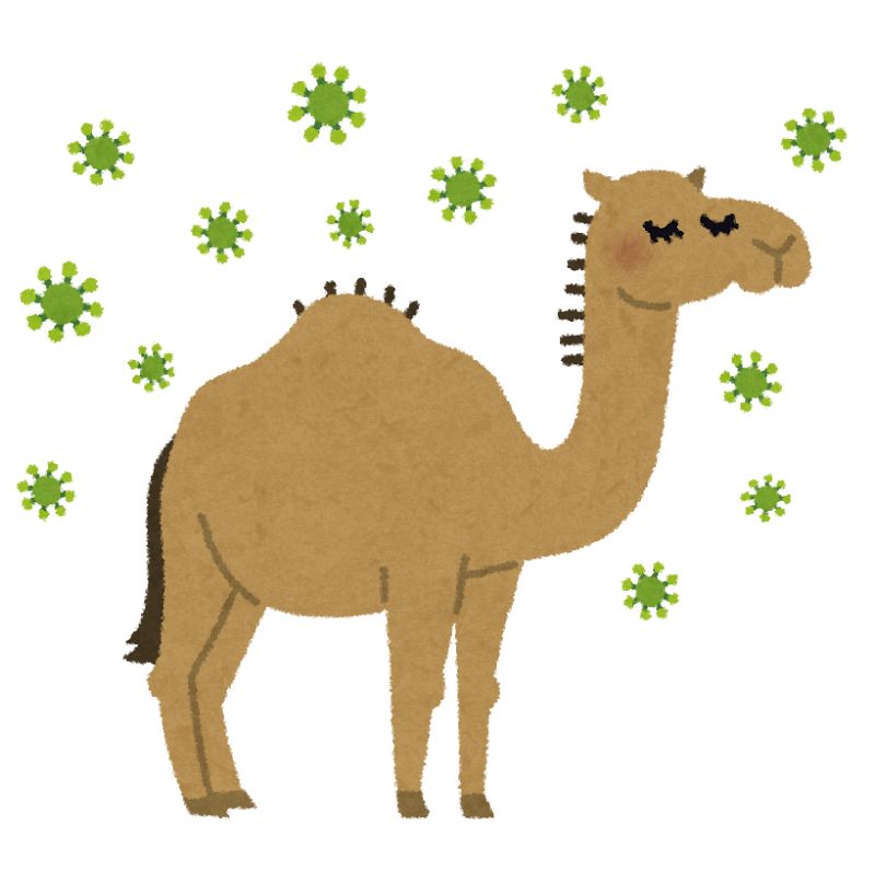 Mersウイルスの宿主になったラクダのイラスト かわいいフリー素材集 いらすとや Mersウイルスの宿主になったラクダのイラスト かわいいフリー素材集 いらすとや