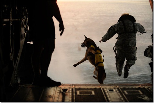 pics_taken_at_the_right_moment_part_2_640_33