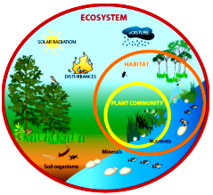 biotic and abiotic examples, biotic factors examples, biotic and abiotic components of environment pdf, what is biotic components, relationship between biotic and abiotic factors in an ecosystem, what is abiotic, what is biotic and abiotic, biotic and abiotic components of ecosystem