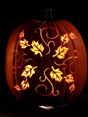 elegant carved pumpkins pics