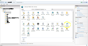 IIS default website