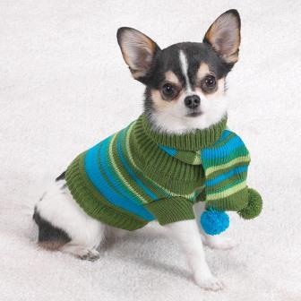 Chihuahua Clothes Sweater