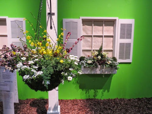 Philadelphia Flower Show 2015 Window Box and Lamp Post: Robert Redford