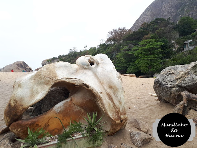 Pedra do Elefante