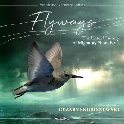 Flyways The Untold Journey Of Migratory Shore Birds Soundtrack