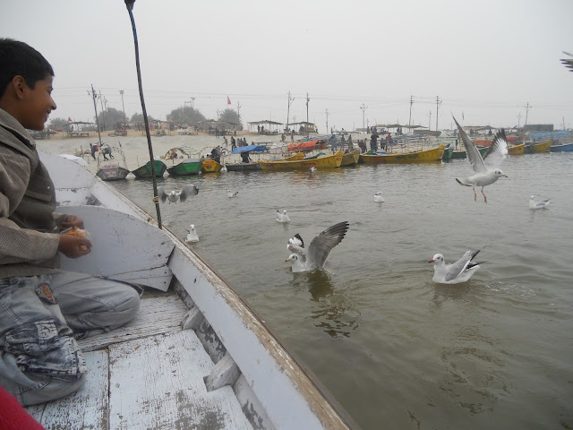 त्रिवेणी  संगम प्रयागराज - Triveni Sangam ( Three holy rivers Ganga, Yamuna & Saraswati) @ Prayagraj ( Uttar Pradesh ) by drifter baba