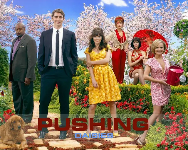 Saiba tudo sobre a nova série Pushing Daisies na Sony