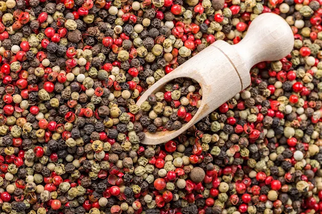 black pepper plant