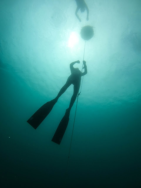 Kursy Freedivingu AIDA **, AIDA ***, AIDA 2, AIDA 3, AIDA 4, Szkolenie freedivingu AIDA Kraków, Jaworzno, Freediving Courses Krakow, Poland - AIDA Master Instructor, Jacek Polak, PJ Freedving