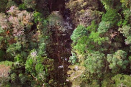 Puing-puing Trigana Air PK-YRN Ditemukan di Kaki Gunung Tangok