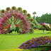 Bouquets de fleurs sous formes de paon