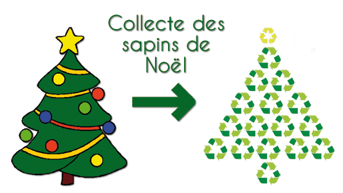 Collecte de sapins du 2 au 27 janvier 2023