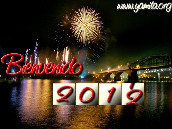 Bienvenido año 2012