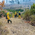 Bomberos forestales combaten incendios en diversos puntos del país