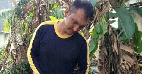 TUKANG TEBANG POHON PROFESIONAL Jasa Tebang Pohon 