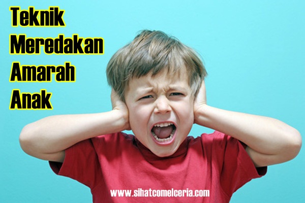 Teknik Meredakan Marah Anak