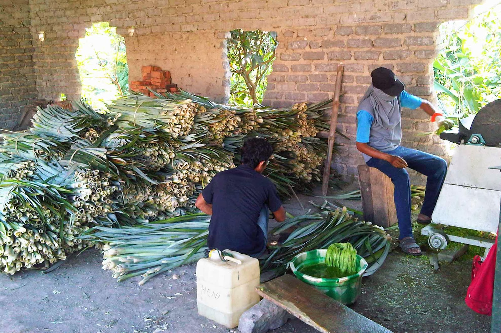 Beberapa kelebihan serat daun nanas adalah sebagaiberikut