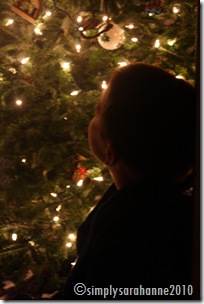 CBS4HelpPortraitXMasTreeSnow 205