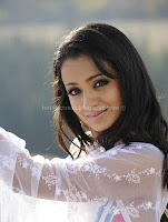 Trisha, navel, show, in, transparent, saree