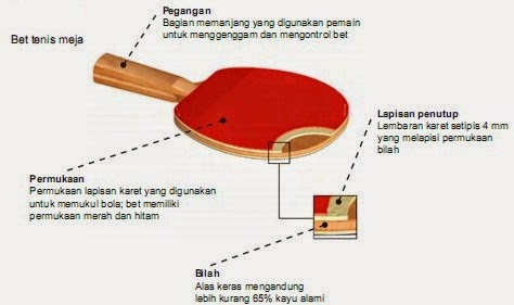  Ukuran  Meja  Tenis  Meja  Internasional dan Nasional 