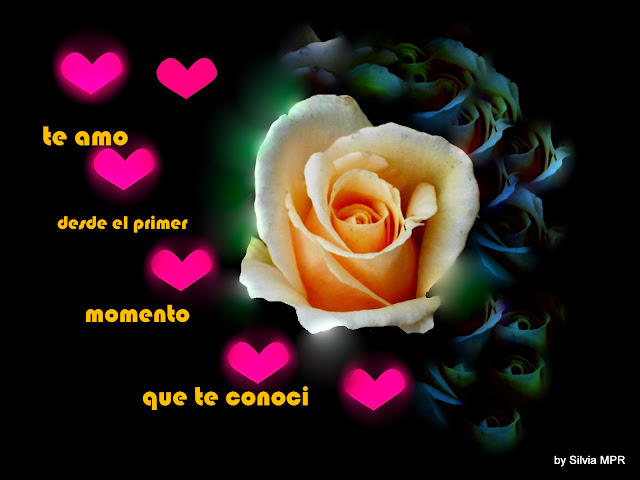 amor rosas corazones te amo 