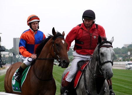 race 5_red bomber 1