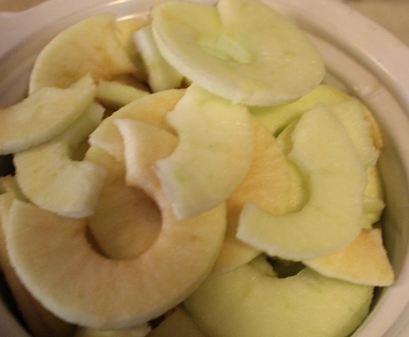 Bonnie's Best Applesauce