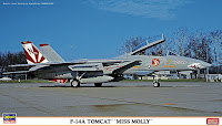 Hasegawa 1/72 F-14A TOMCAT 'MISS MOLLY' (02123) Color Guide & Paint Conversion Chart