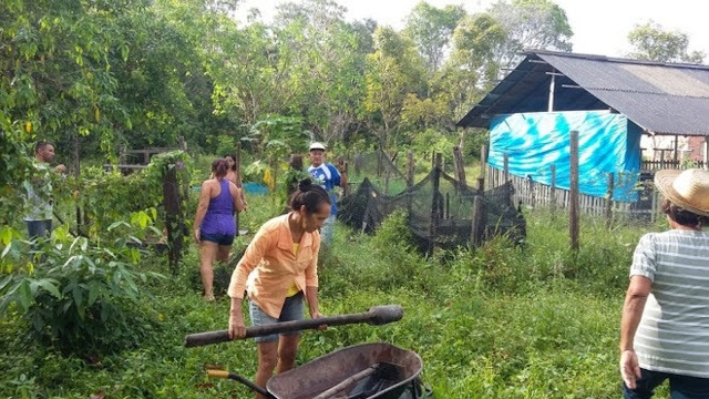 Resultado de imagem para Recursos do Fundo de Manejo Florestal