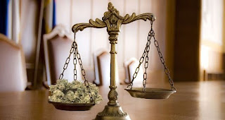 Marijuana business law firm