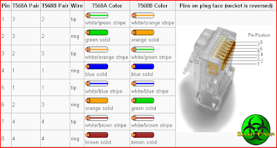 Cat5 Wiring Diagram on Build Your Own Ethernet Cable   Bauer Power Media