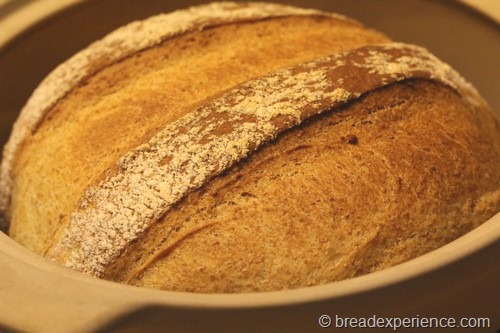 shepherds-bread_0022