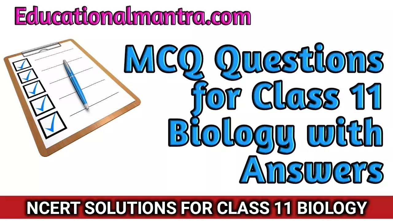 MCQ Questions for Class 11 Biology