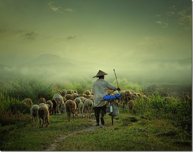 shepherd #2 by Adrian Donoghue