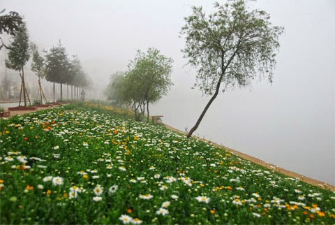 Kinh nghiệm và hành trang du lịch Sapa