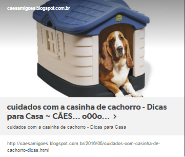 cuidados com a casinha de cachorro - Dicas para Casa