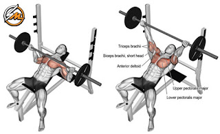 5 Best Upper Chest Exercises for Bigger Pecs