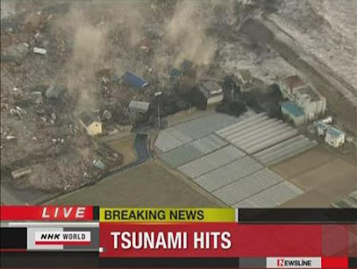 japonya depremi tsunami