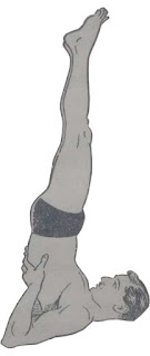 Sarvangasan or Shoulder Stand Pose - Steps and Benefits