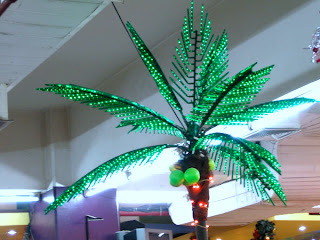 coconut christmas tree only at gisano, cdo  