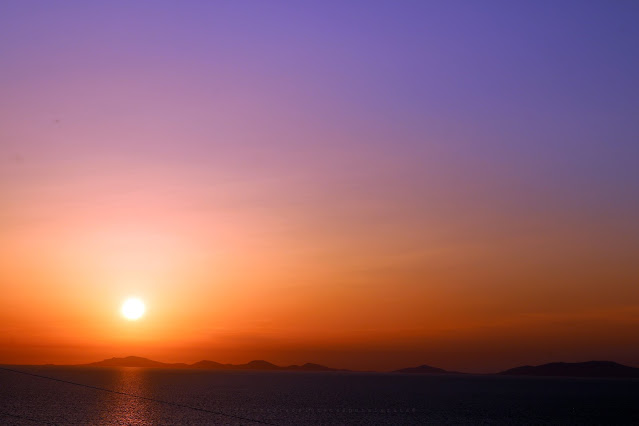 Serata in vigna. Gustare il tramonto non solo con gli occhi, foto di Orata Spensierata